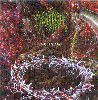 Datura- Impulse 80 CD on Coyote Records